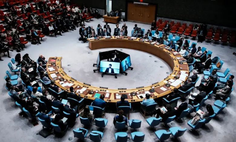 Un Securitycouncil Bg 1